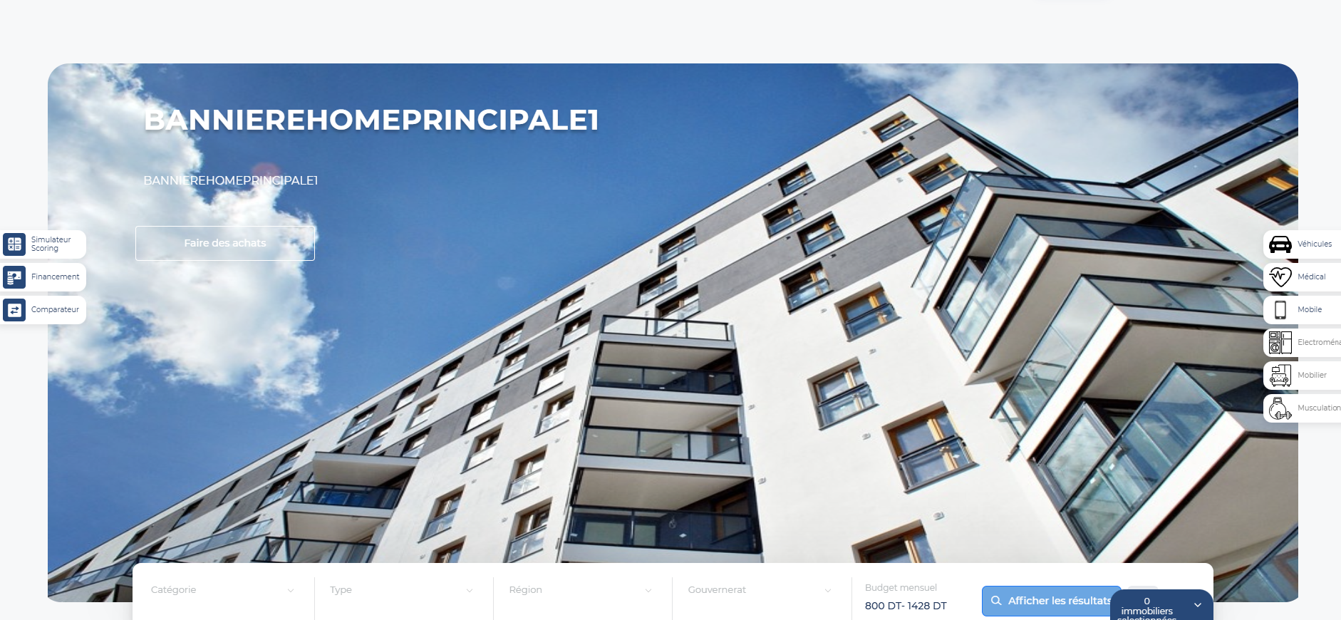 Real Estate Financing